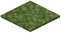 Green Moss Carpet