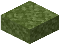 Green Moss Slab