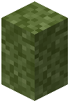 Green Moss Wall