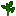 Green Sapling