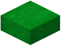 Green Stripped Bark Slab