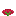 Heart Nightshade
