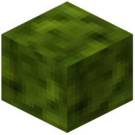 Leaf Coral Block