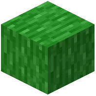 Lime Bark