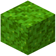 Lime Glowmoss