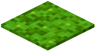 Lime Glowmoss Carpet