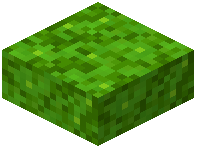 Lime Glowmoss Slab