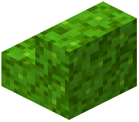 Lime Glowmoss Stairs