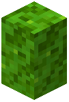 Lime Glowmoss Wall