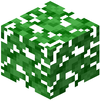 Lime Leaves