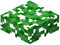 Lime Leaf Slab