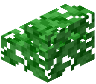 Lime Leaf Stairs