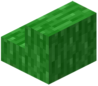 Lime Bark Stairs