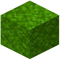 Lime Moss