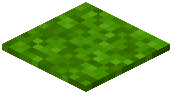 Lime Moss Pressure Plate