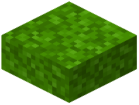 Lime Moss Slab