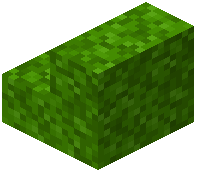 Lime Moss Stairs