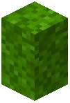 Lime Moss Wall