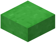 Lime Stripped Bark Slab