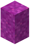 Magenta Glowmoss Wall