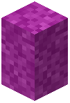 Magenta Moss Wall