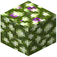 Mosslight