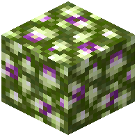 Mosslight