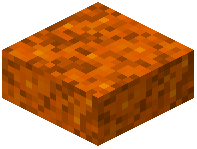 Orange Glowmoss Slab