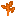Orange Sapling