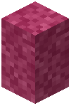 Pink Moss Wall