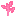 Pink Sapling