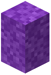 Purple Moss Wall