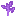Purple Sapling