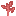 Red Sapling