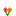 Volcano Laceflower