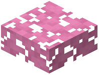 Washed Magenta Leaf Slab