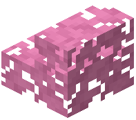 Washed Magenta Leaf Stairs