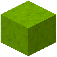 Whole Lime Mushroom Block (Flat)