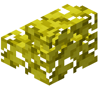 Yellow Leaf Stairs