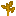 Yellow Sapling