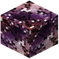 Nether Embryo Block