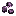Shulker Shell Seeds