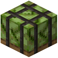 Biomass Pallet