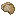Cooked Brain