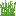 Beta Grass