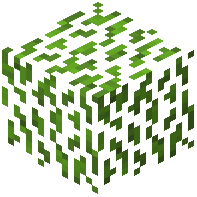 Hojas de ciprés verde