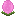 Corona primaveral