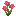 Flor de nube color fresa
