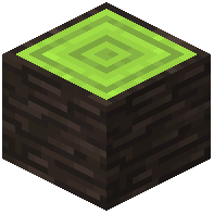 Tronco de ciprés verde