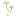 Hongo blanco